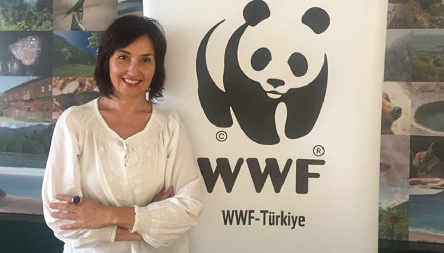 Sosyal Bağış gününde WWF-Türkiyeye destek ol kampanyası