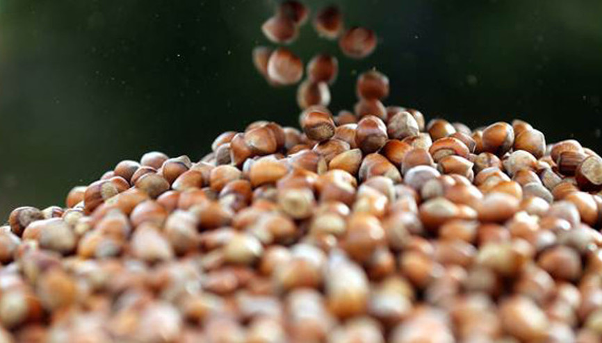 FİSKOBİRLİK de satın alsın bize versin