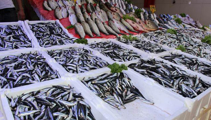 Hamsinin fiyatı 15 liradan 10 liraya düştü