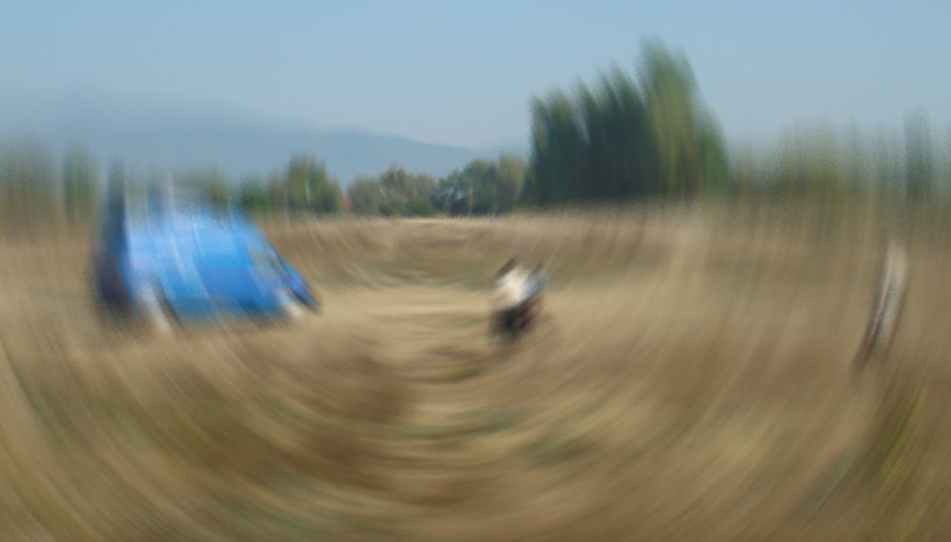 Balıkesir’de ceset parçaları bulundu