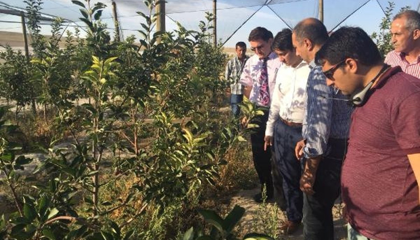 Emirgaziden Ukraynaya Japon armudu ihracatı
