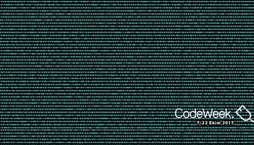 ‘Code Forest’ projesiyle Google desteği