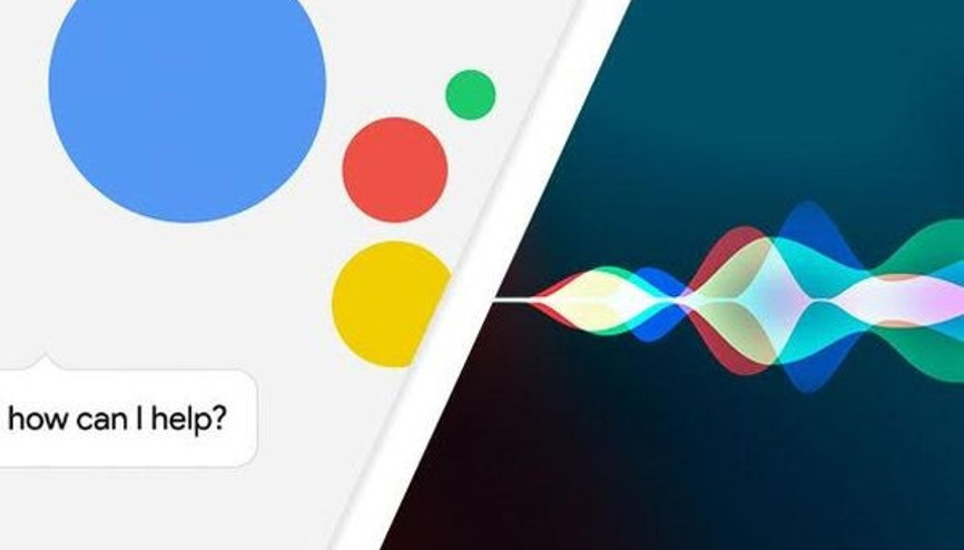 Hangisinin IQsu daha yüksek: Siri mi Google Asistan mı