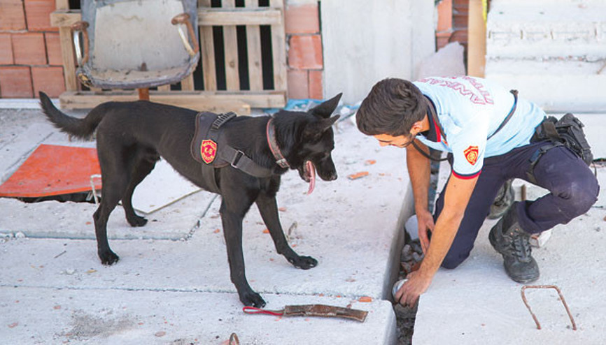 Boomer için bir damla kan yeterli
