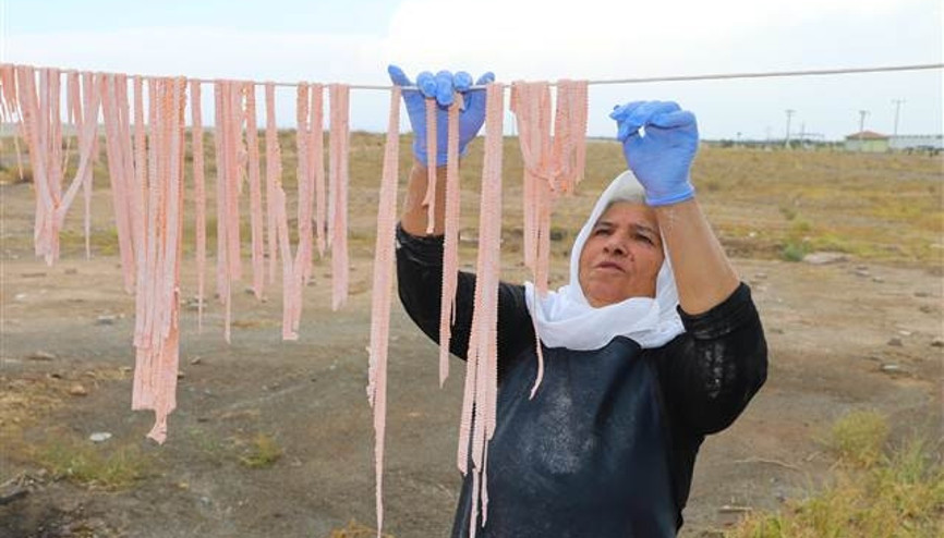 Türkiyede yapılıyor, Avrupaya satılıyor