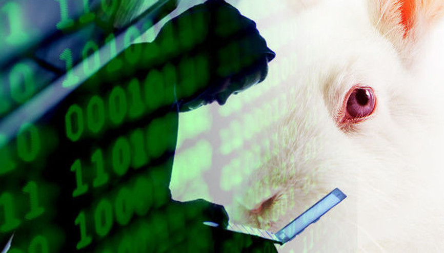 Bad Rabbit virüsü resmen Türkiyeye girdi