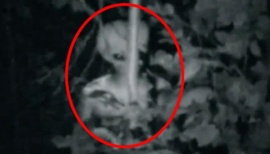 Flaş iddia Uzaylılar insanlara benzeyebilir