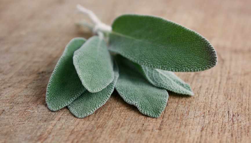 Adaçayı nasıl demlenir Adaçayının faydaları nelerdir