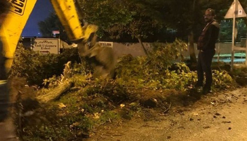Ağaç nöbeti tutan aktivistlere bıçaklı saldırı