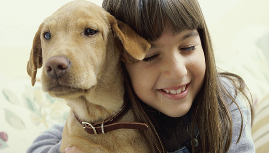 Köpekler hakkında 10 şaşırtıcı bilgi