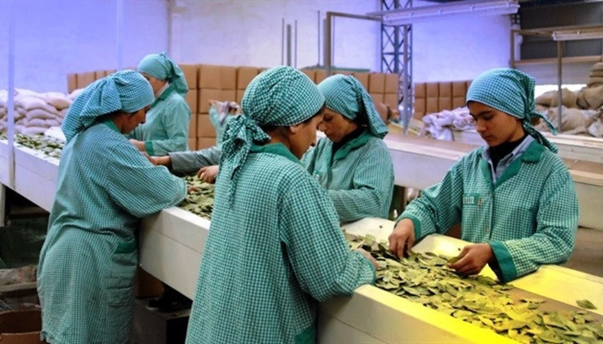 128 milyon dolarlık ihracat