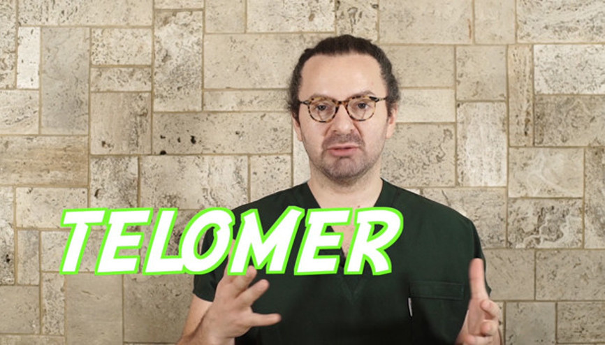 Telomer: Ölümsüzlük Sırrı mı | Doktor Bu Ne