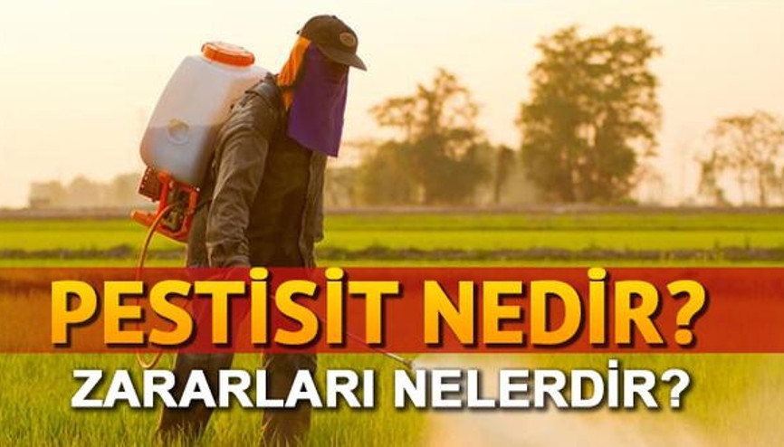 Pestisit nedir Pestisitin türleri ve zararları nelerdir
