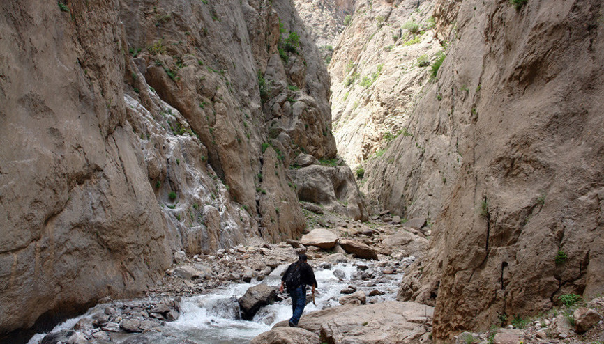 Hakkari’de keşfedildi... Antik Mısırda kadınlar kullanıyordu