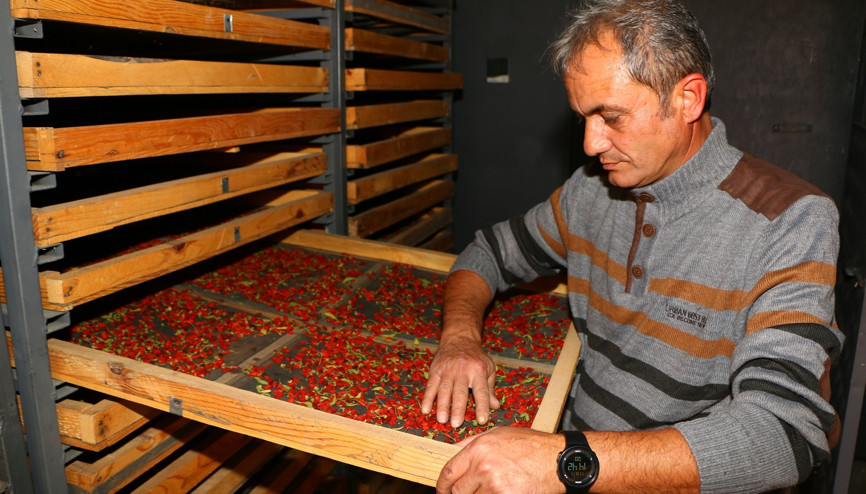 Hobi olarak başladılar, iki kardeş şimdi talebe yetişemiyor