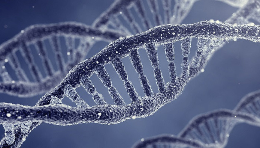 Enfeksiyonlara karşı çaresiz değiliz