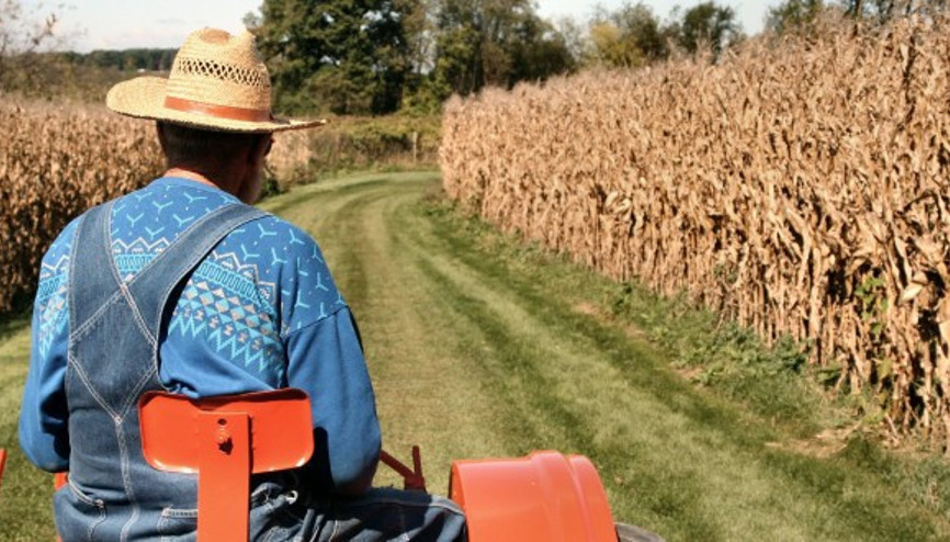 Elektrik borcu olan çiftçiye destek yok