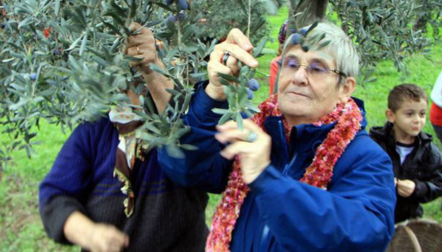 Canan Karatay önerdi: Su içer gibi için