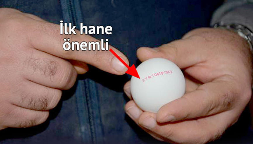 Yumurtada yeni dönem
