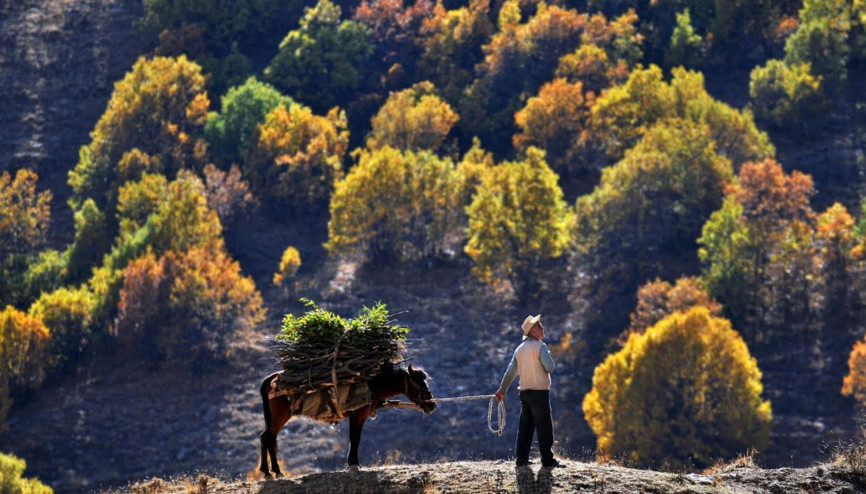 Epson Türkiye Fotoğraf Yarışmasının kazananları belli oldu