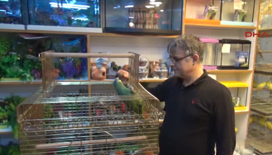 Zikir çeken papağan 7 Bin TLye satılıyor