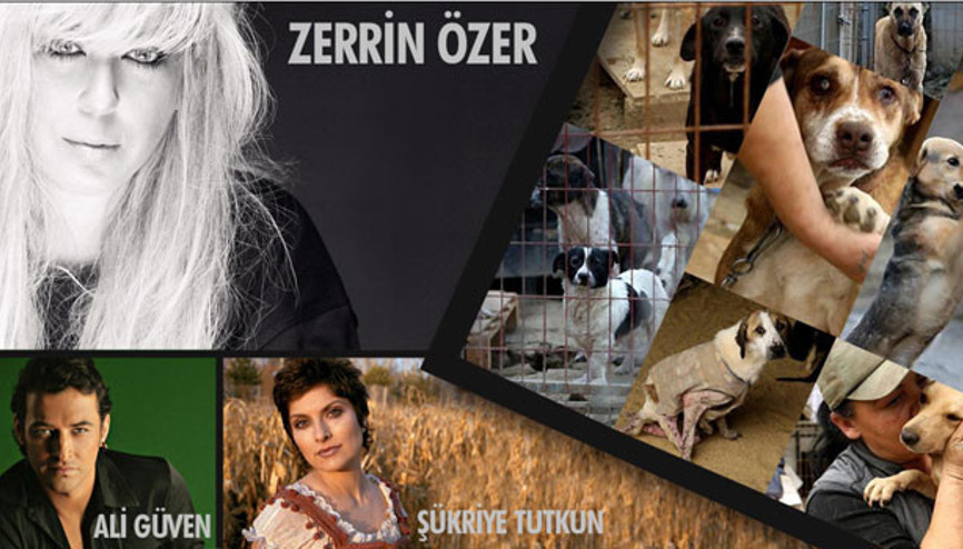 Barınaklar müzikle ısınacak