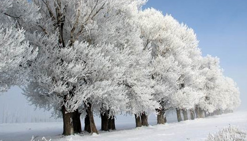 Erzurum eksi 17 derece