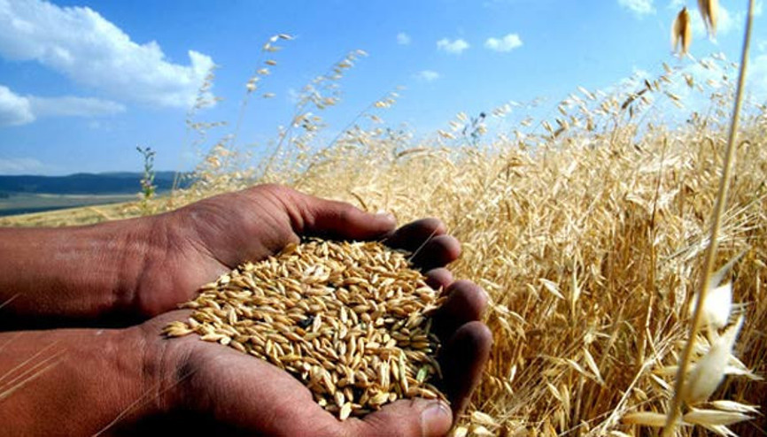 Tarım sigortasında değişiklik