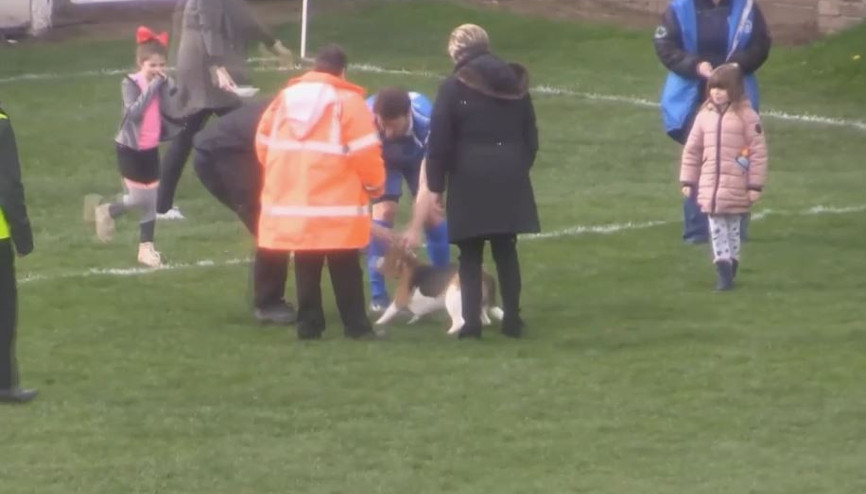 2017nin spordaki en komik anları