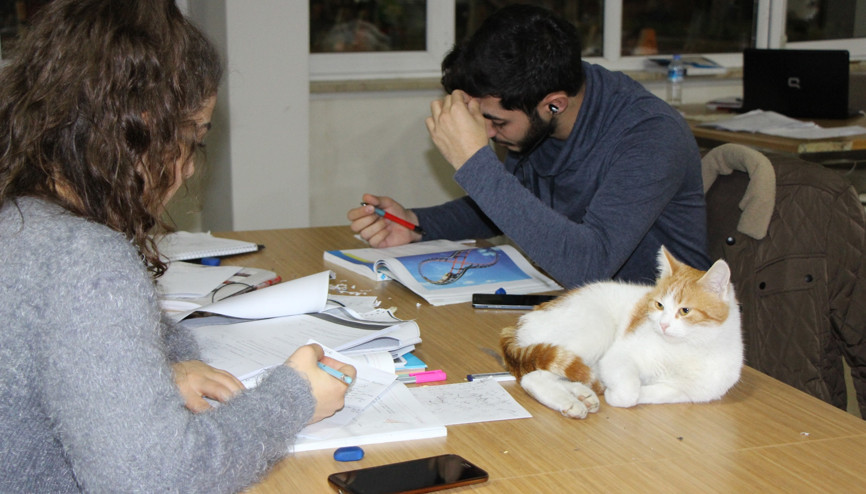 Üniversitenin yeni maskotu ‘Rıfkı’