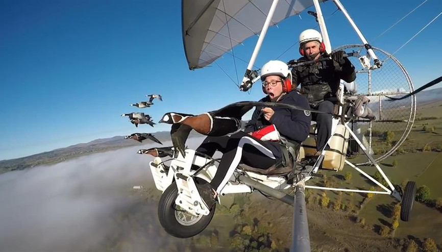 Kuş sürüsüyle yan yana uçan adamın muhteşem deneyimi