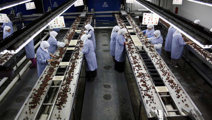 Tekfen Holdingten 50 milyon liralık satın alma