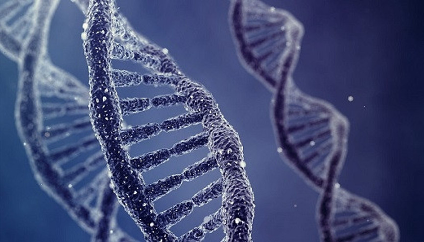 DNA gerçekten de ölümsüz mü