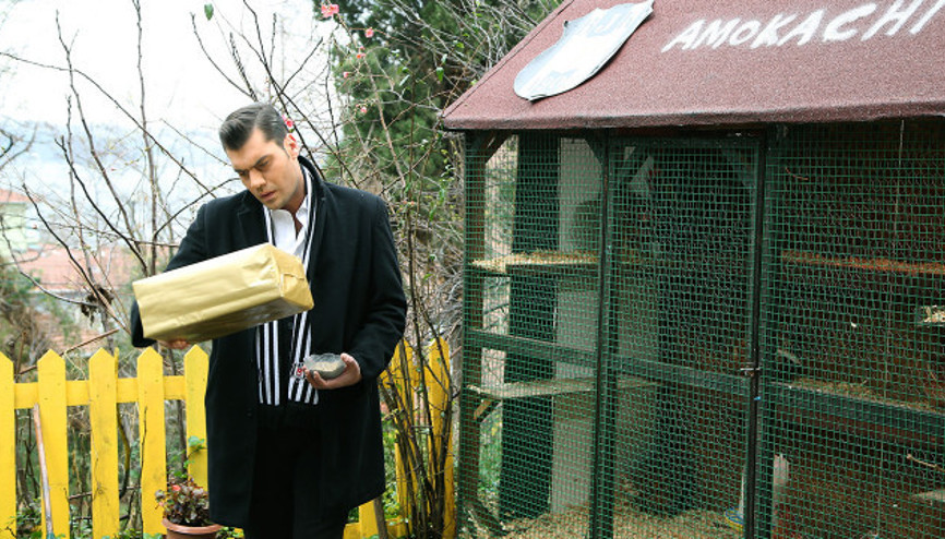 Şevkat Yerimdar yeni bölümü neden yok Fragman yayınlandı mı