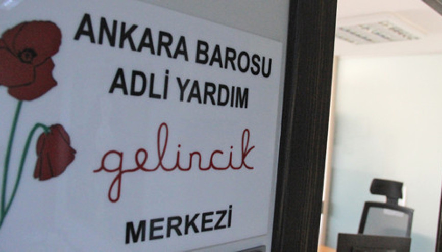 2017de 3 bin gelincik