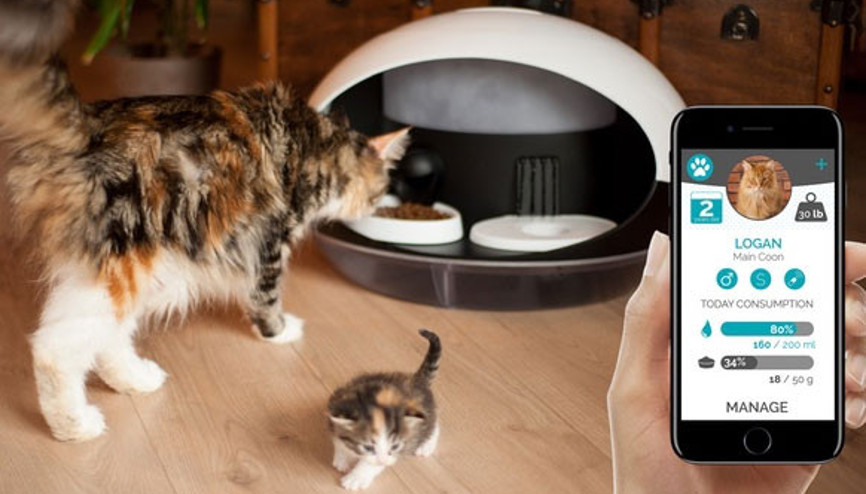 Kediniz artık Catspad otomatik besleyecek