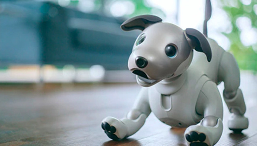 Bu da robot köpek: Aibo karşınızda