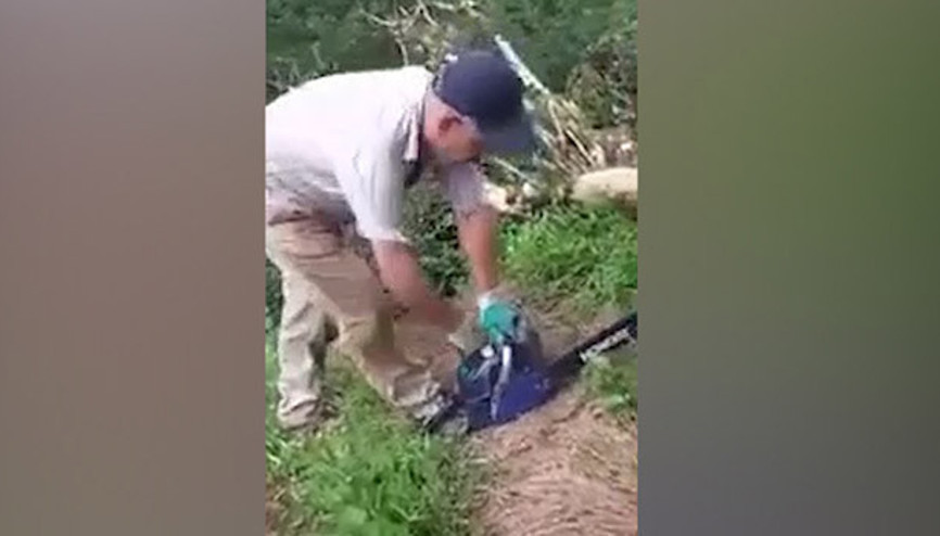 Testere makinesini çalıştıramayınca bakın ne yaptı
