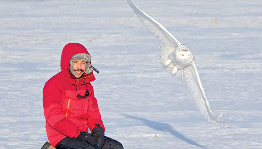Yoğurtçuoğlu kuş misali