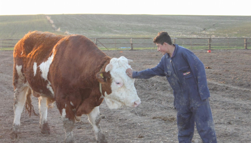 5 inekle başladı, 100 hayvanlık çiftlik kurdu
