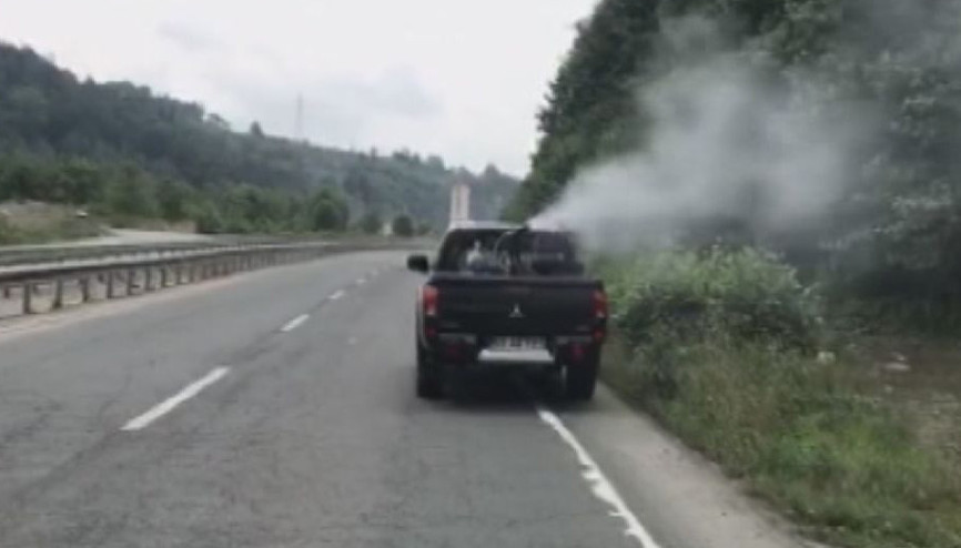 Zika virüsü salgınına neden olan Aedes türü sivrisinekler tespit edildi Zika virüsü salgınına neden olan Aedes türü sivrisinekler tespit edildi