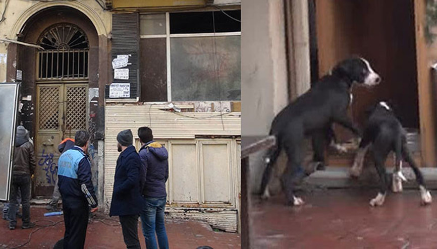 İstiklal Caddesinin ortasında dövüş kulübü