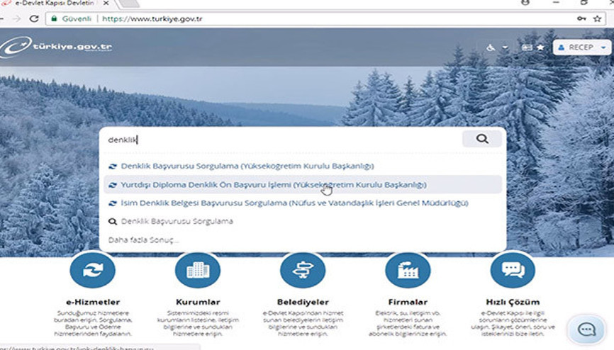 Denlik ve Tanıma İşlemleri Online Başvuru Sistemi