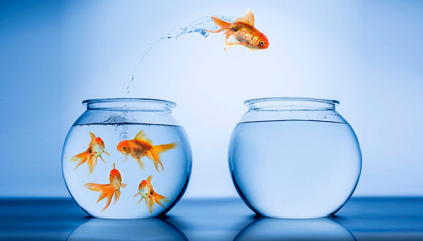 Girişimciliğin Etimolojisi