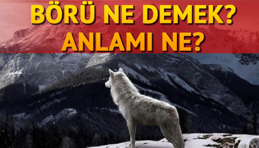BÖRÜ ne demek Anlamı ne