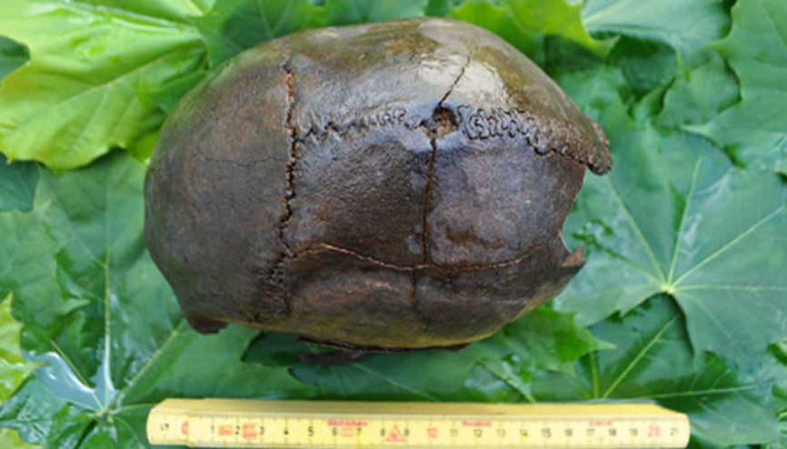 İsveç’te 8 bin yıllık kafatasları bulundu