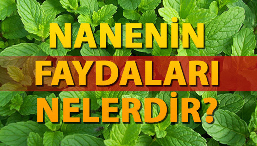 Öksürüğe ne iyi gelir İşte, Nane’nin faydaları