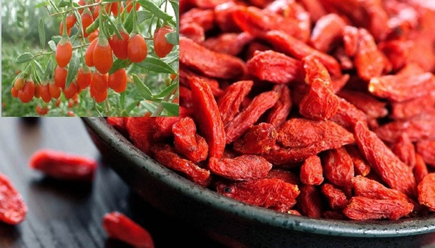 Goji berry (kurt üzümü)  faydaları neler Goji berry çayı nasıl yapılır