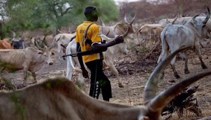 Çobanlarla çiftçiler çatıştı: 20 ölü