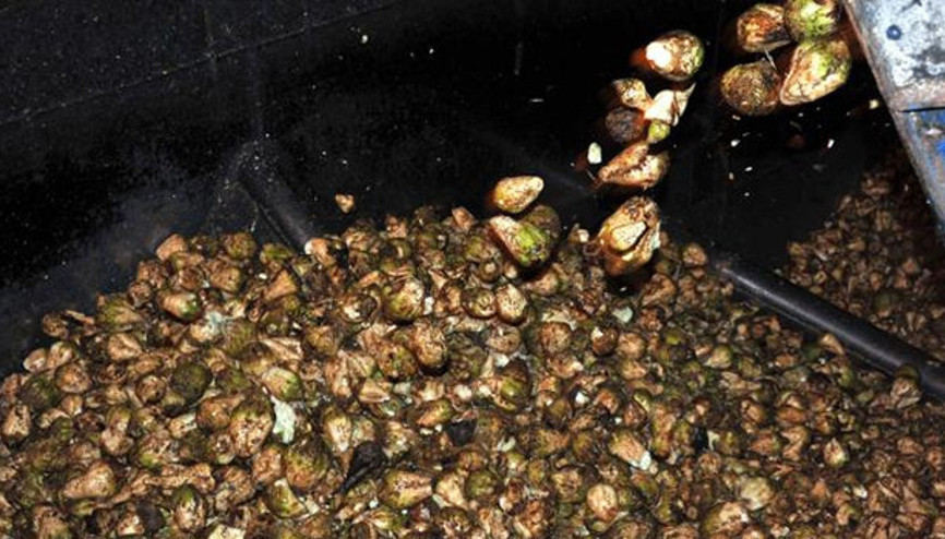 “Kanser olmak istemiyoruz, fabrikaları satmayın”